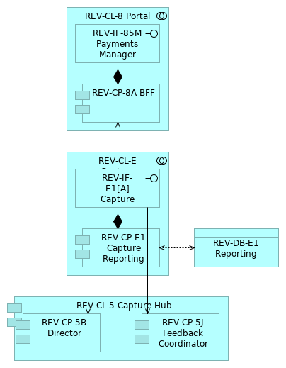 REV_Future C3_E Capture Reporting